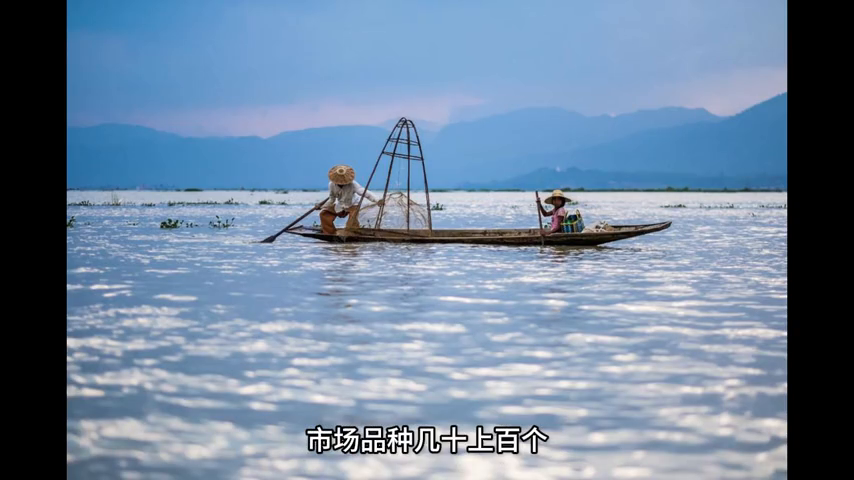 仓位管理的核心逻辑是什么