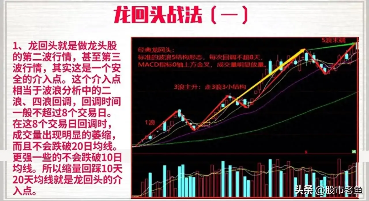 在股市里面想快速赚钱那么把握龙头股不失为一种好方法