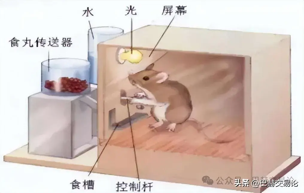 为什么总喜欢逆势做单？因为是市场认知出了问题！
