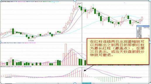 炒股能发财的永远只有一种人利用人性的贪婪赚钱悟到就是赚到