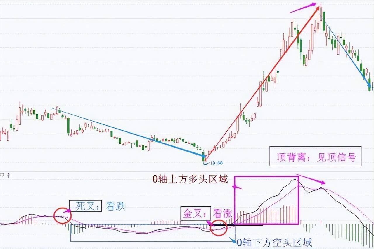 中国股坛第一人的退役留言MACD的极致用法买小卖小缩头缩脚