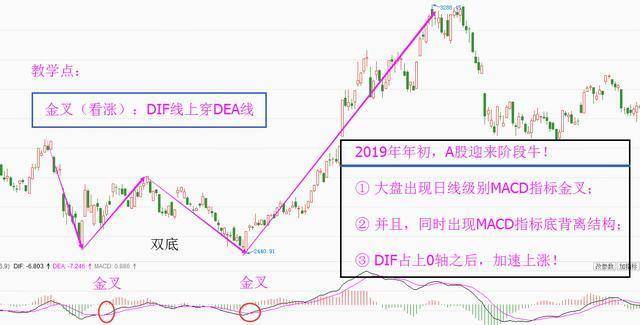 中国股坛第一人的退役留言MACD的极致用法买小卖小缩头缩脚