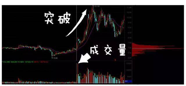 从爆仓千万到财富自由给股民一句忠告新手看消息老手看主力