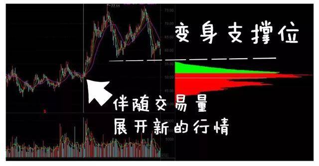 从爆仓千万到财富自由给股民一句忠告新手看消息老手看主力