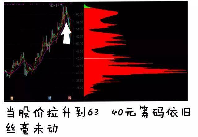 从爆仓千万到财富自由给股民一句忠告新手看消息老手看主力