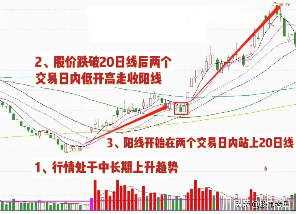 投资股市若非持币观望则应精选强势股入手