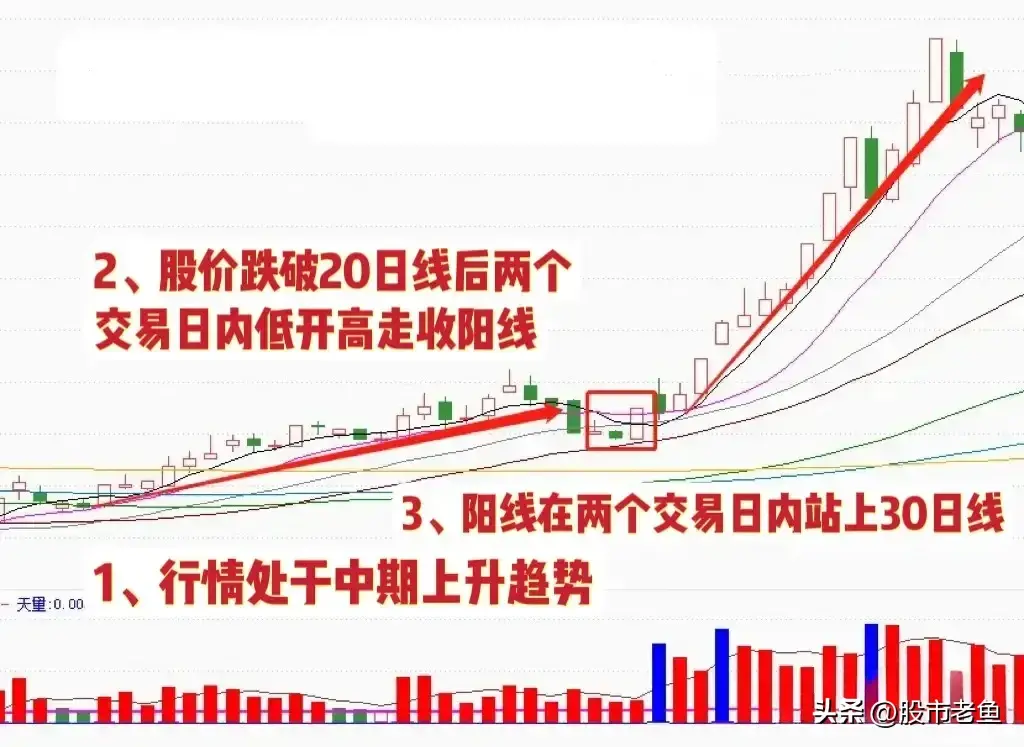 投资股市若非持币观望则应精选强势股入手
