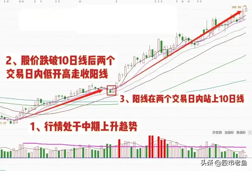 投资股市若非持币观望则应精选强势股入手