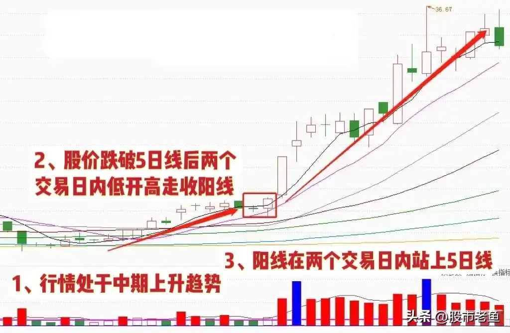 投资股市若非持币观望则应精选强势股入手