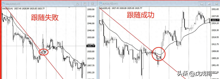 老股民直言什么是悟道中的不预测只跟随字字珠玑句句经典