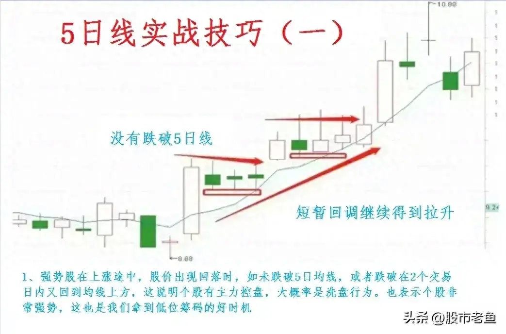 我们应该如何通过5均线把握好短线强势股机会呢？
