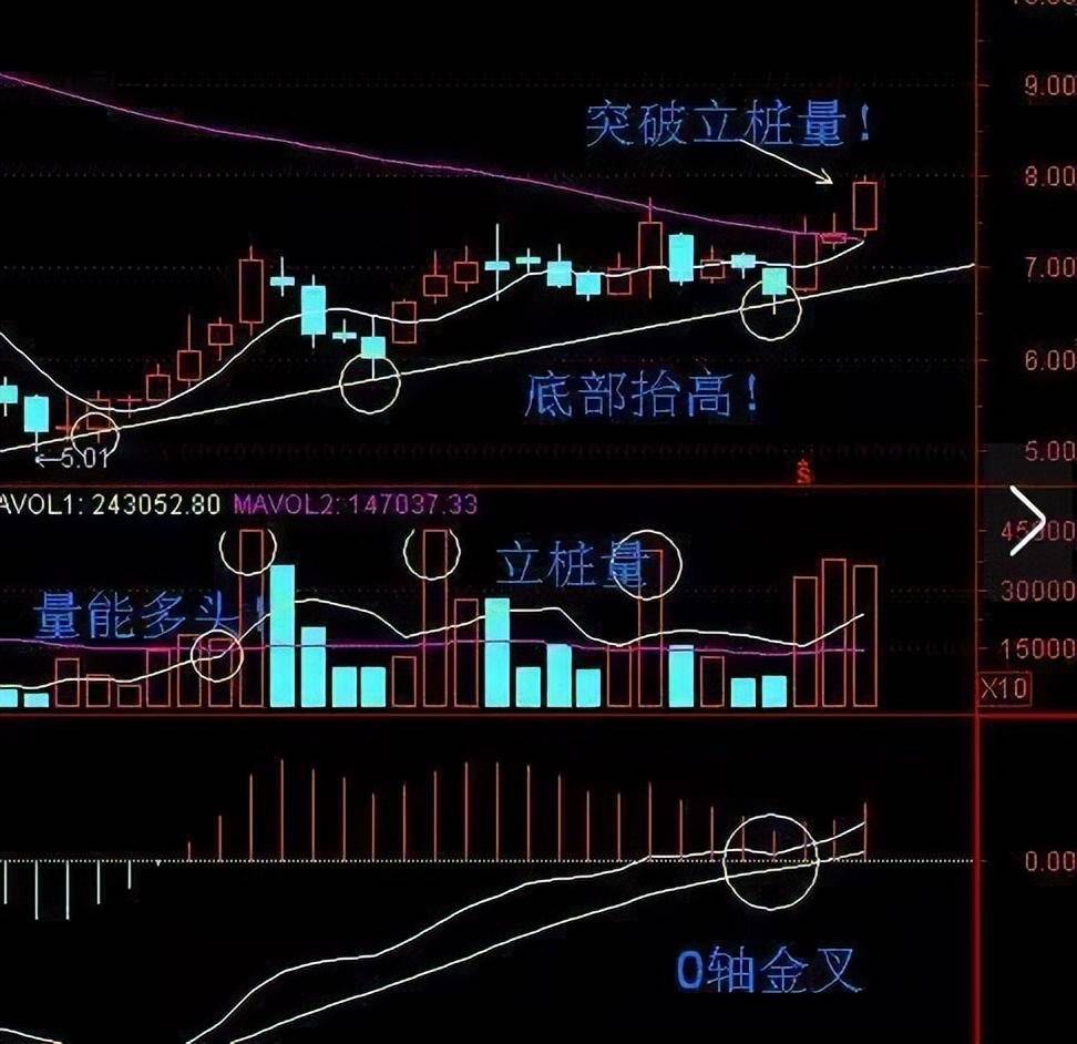 在股市中真正赚钱的人有多可怕？他们都具备这五大特点！值得收藏