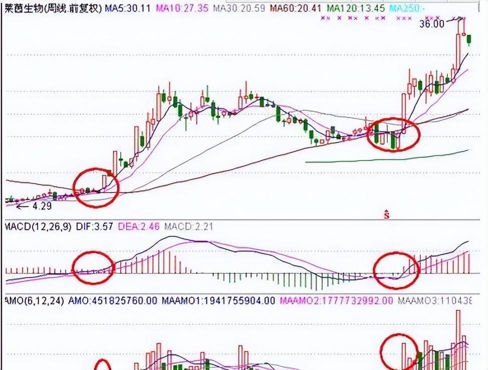 为什么说成功的投资都是反人性的?我整整读了10遍明白了!