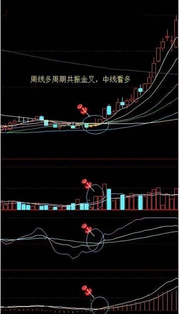 为什么说成功的投资都是反人性的?我整整读了10遍明白了!