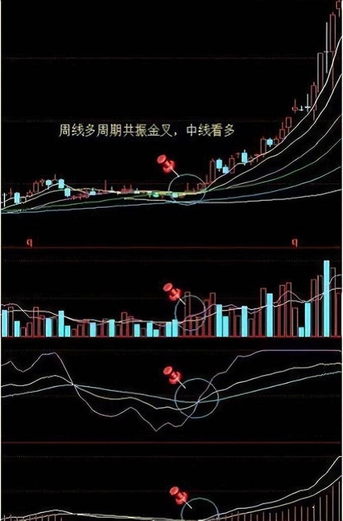 为什么说成功的投资都是反人性的?我整整读了10遍明白了!