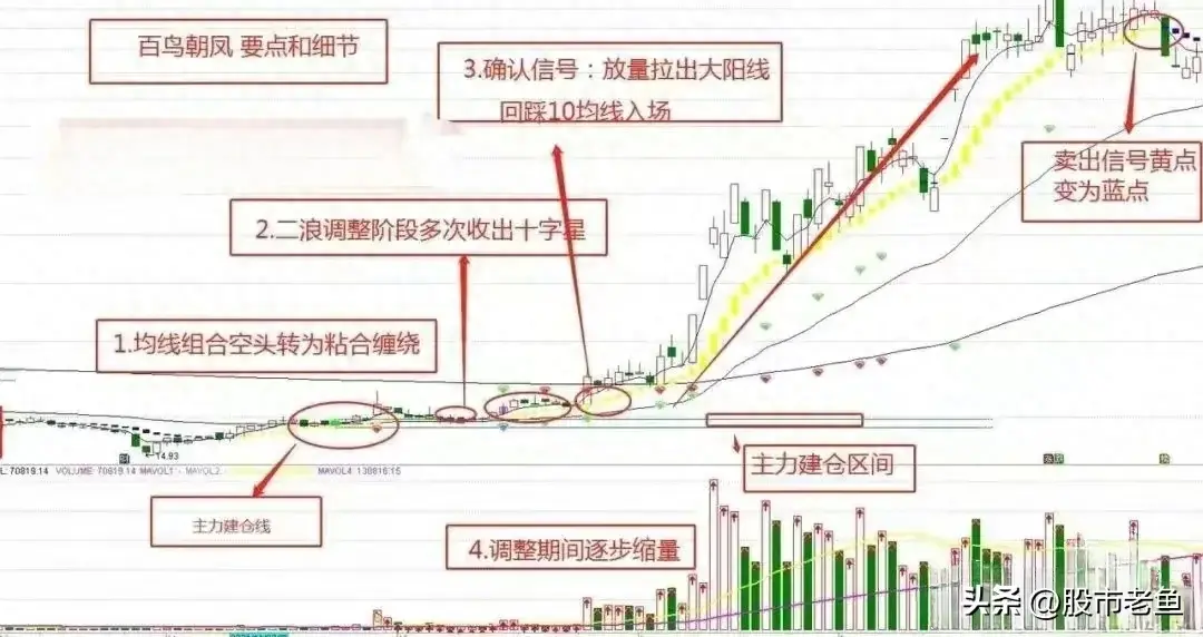 股票展现出百鸟朝凤的态势务必予以高度重视往往将大涨
