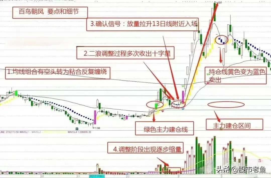 股票展现出百鸟朝凤的态势务必予以高度重视往往将大涨