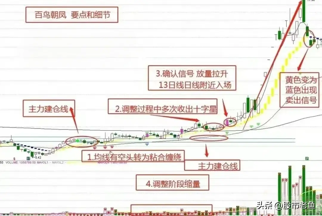 股票展现出百鸟朝凤的态势务必予以高度重视往往将大涨
