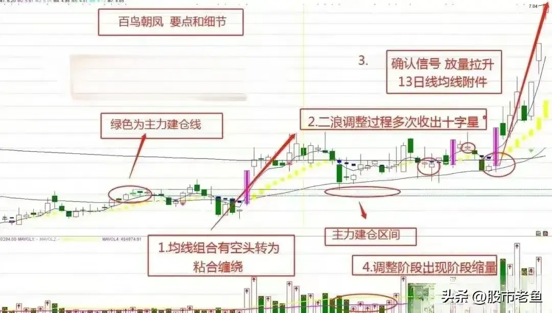 股票展现出百鸟朝凤的态势务必予以高度重视往往将大涨