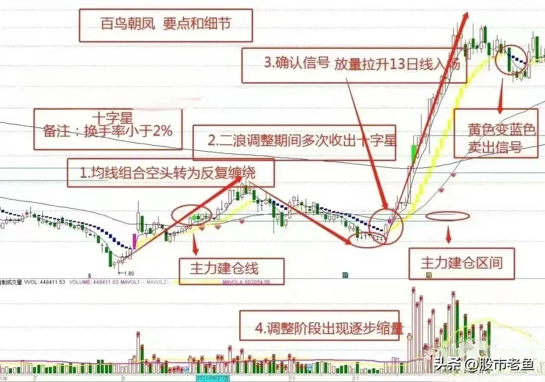 股票展现出百鸟朝凤的态势务必予以高度重视往往将大涨