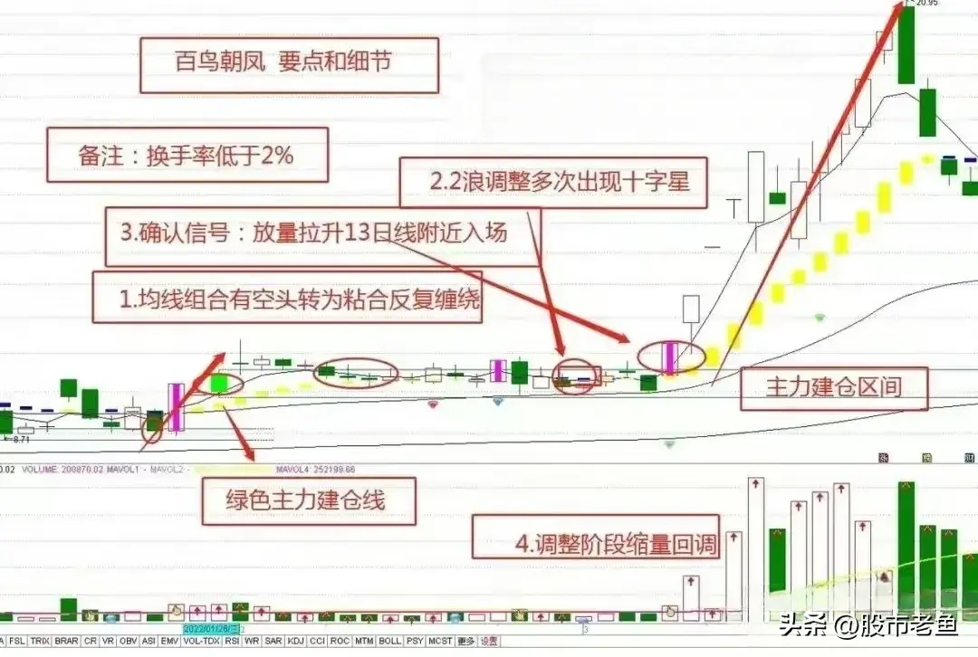 股票展现出百鸟朝凤的态势务必予以高度重视往往将大涨