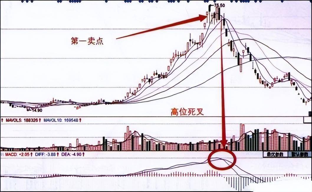 股市小资金做大的唯一方式从亏损到盈利只需反复牢记MACD口诀