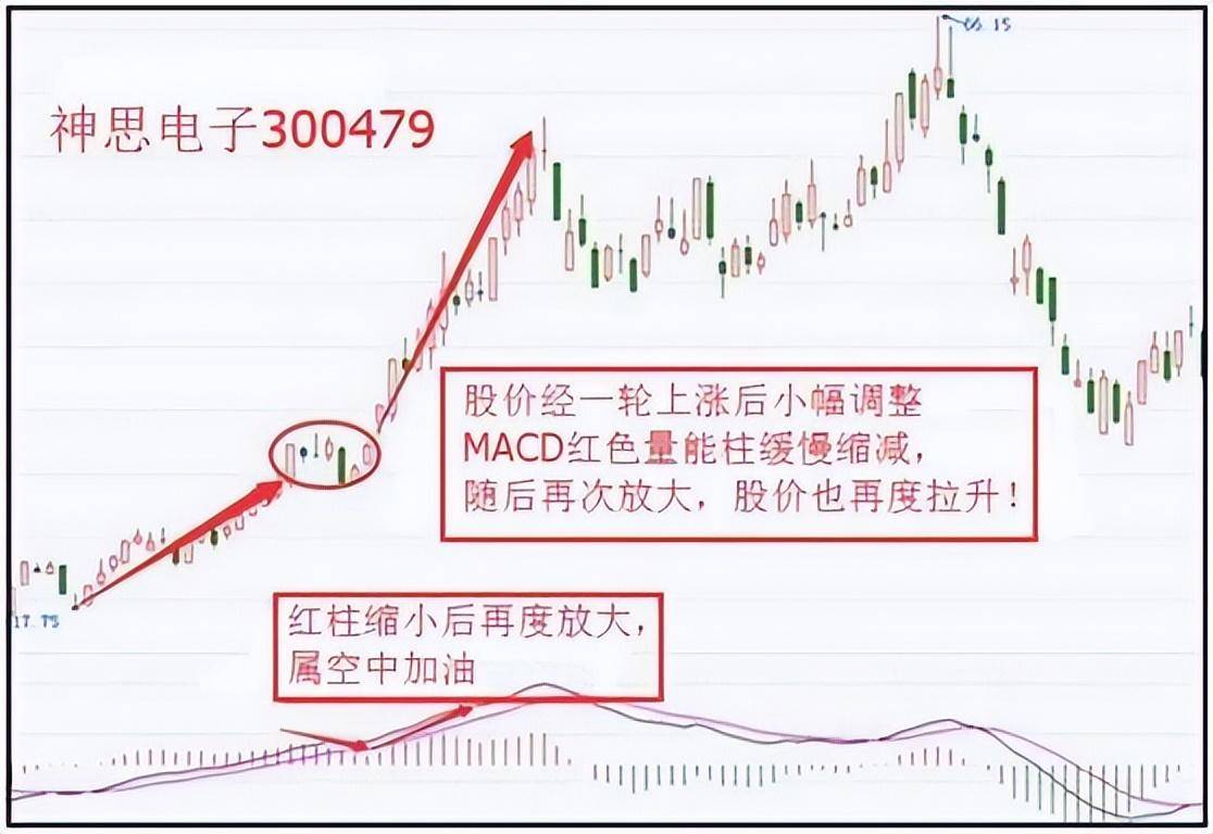 股市小资金做大的唯一方式从亏损到盈利只需反复牢记MACD口诀