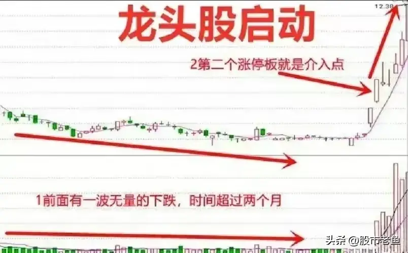 涉足股市若非龙头股宁可不动一旦涉足必选龙头
