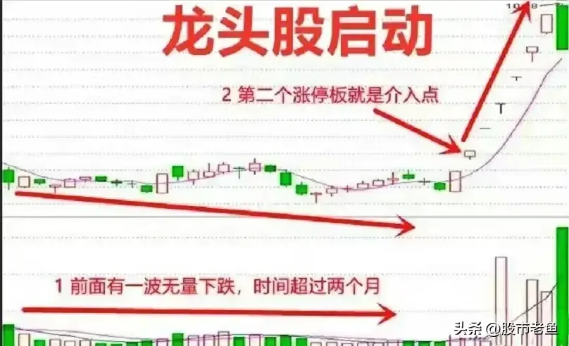 涉足股市若非龙头股宁可不动一旦涉足必选龙头