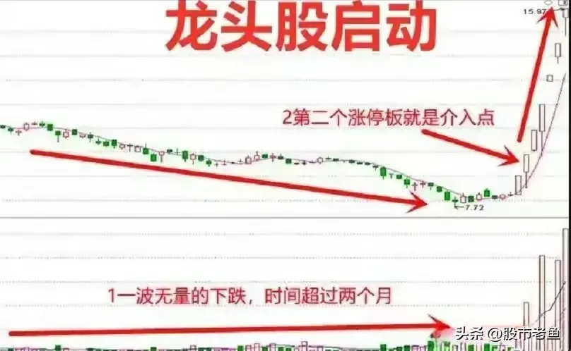 涉足股市若非龙头股宁可不动一旦涉足必选龙头
