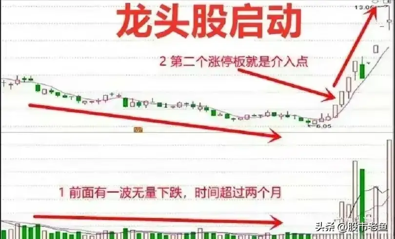 涉足股市若非龙头股宁可不动一旦涉足必选龙头