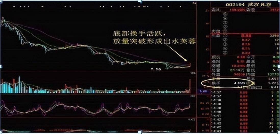 中国真正能赚大钱的只有一种人死啃这两条线实现财务自由