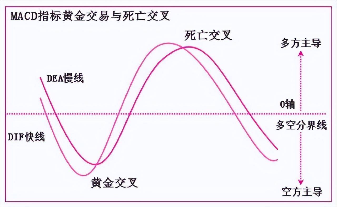 写给所有在亏损的散户的一封信股票起飞前庄家都会先试盘