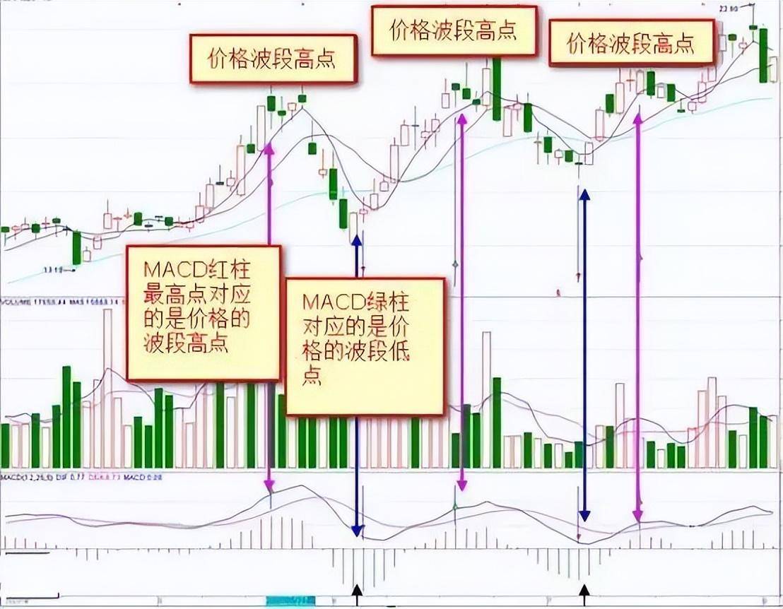 写给所有在亏损的散户的一封信股票起飞前庄家都会先试盘