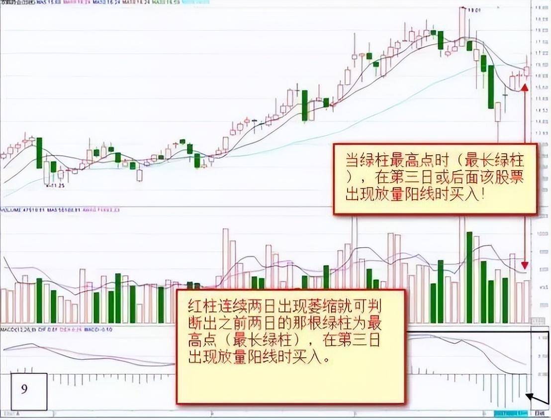 写给所有在亏损的散户的一封信股票起飞前庄家都会先试盘