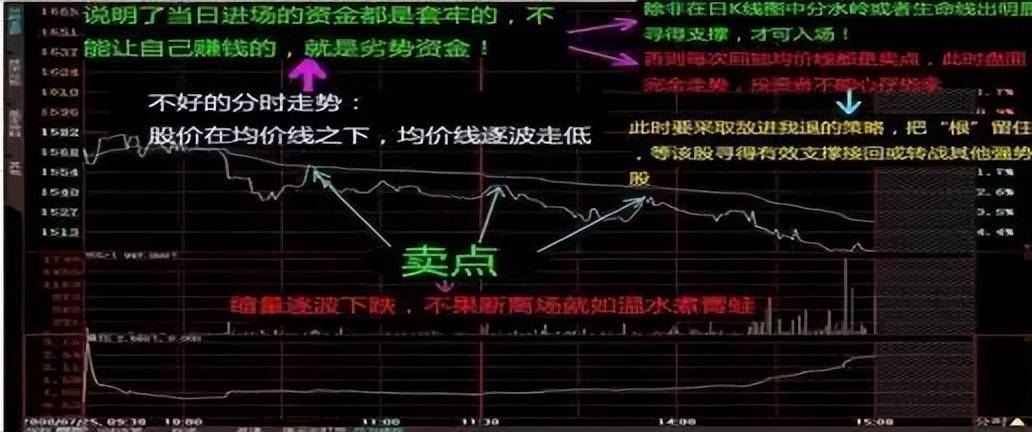 极其罕见的分时图买卖法买到的都是好股从贫穷到富有