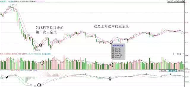 中国真正发财的一种人MACD成交量均线堪称炒股界教科书!