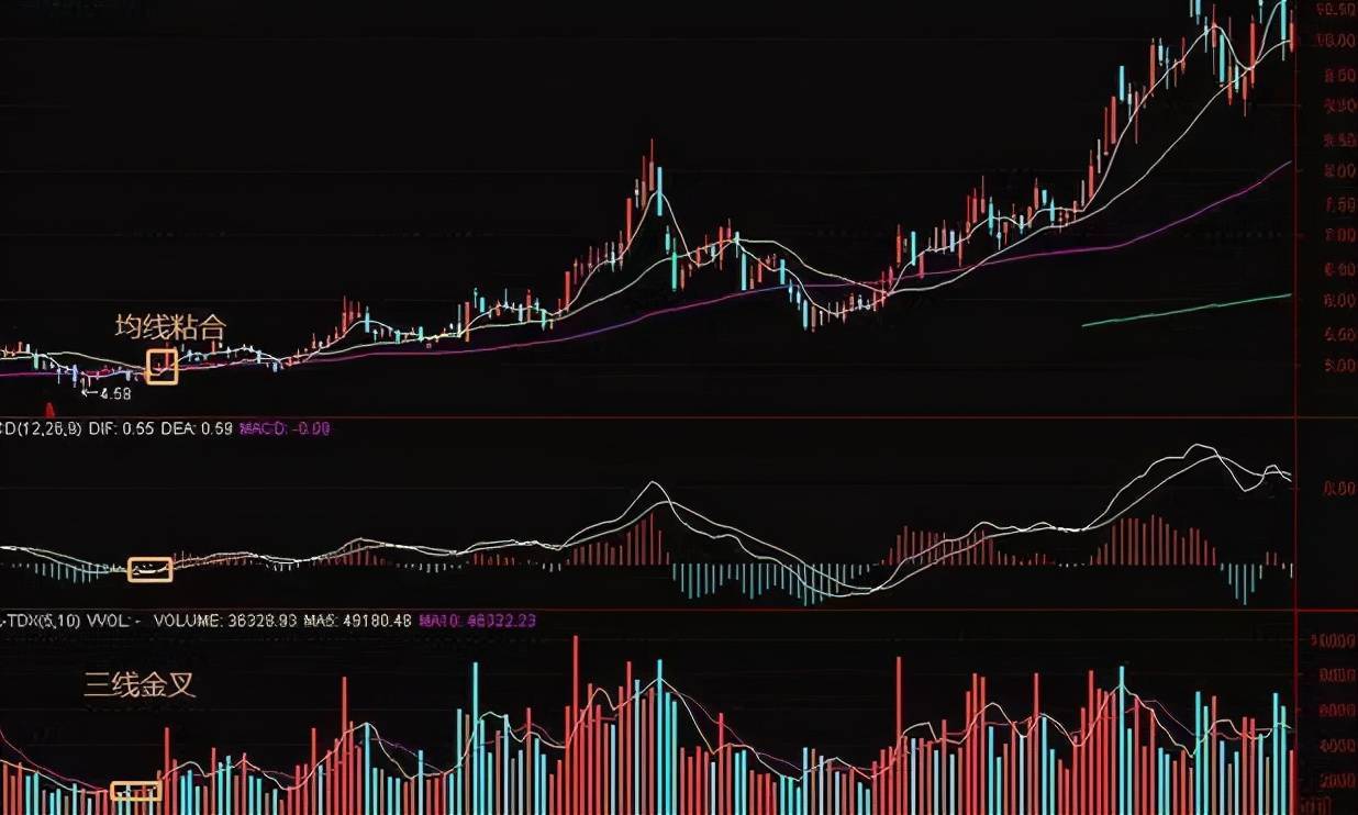 上海一老股民的操盘口诀将死不死必然上涨将金不金必然清仓!