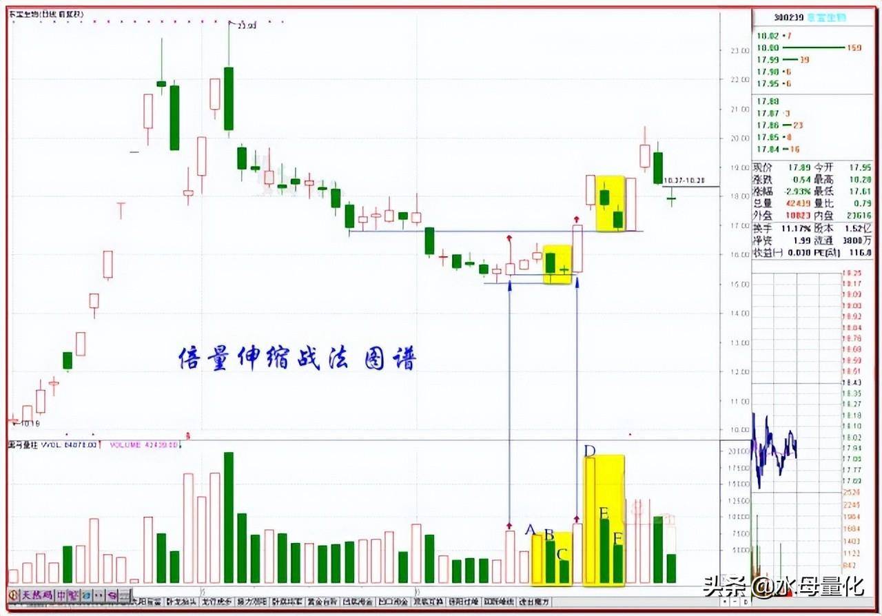 水母量化短线炒股的经验分享与实际案例