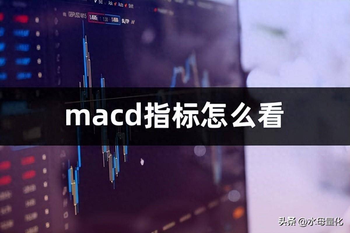 macd指标怎么看？macd指标详解