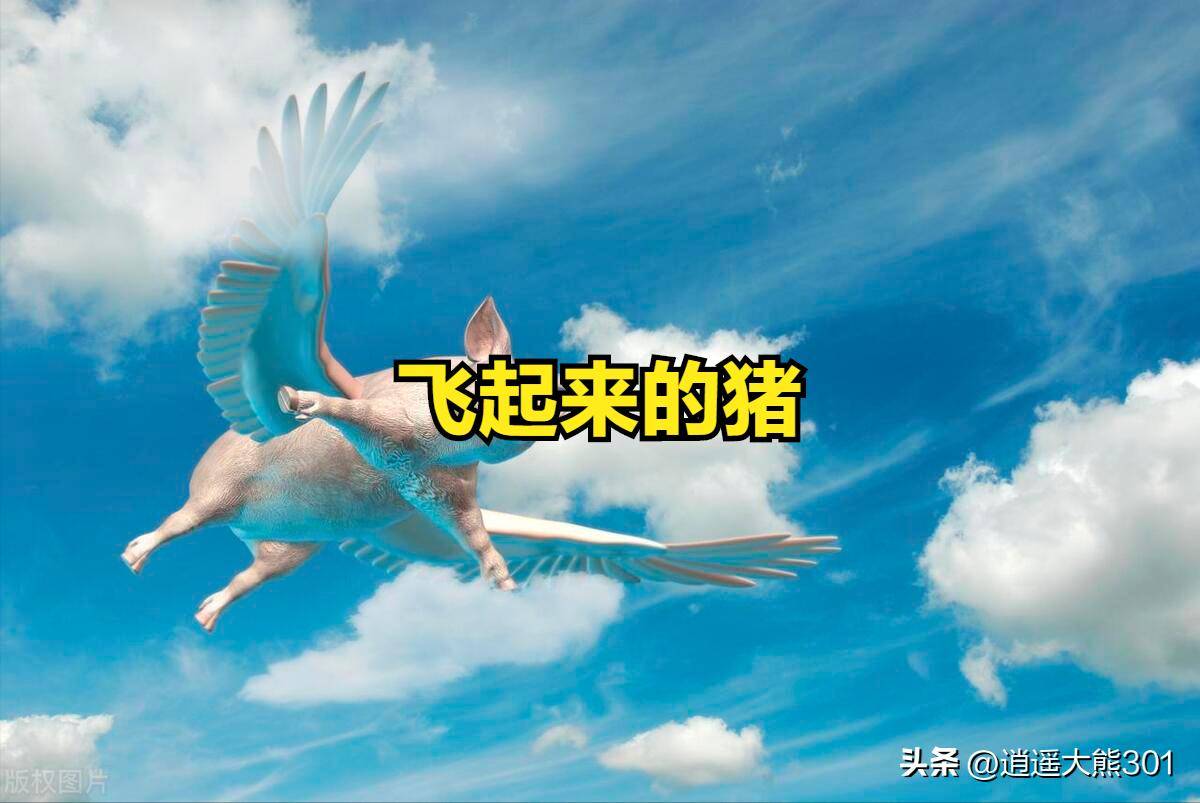 股民亏钱的方法花样繁多