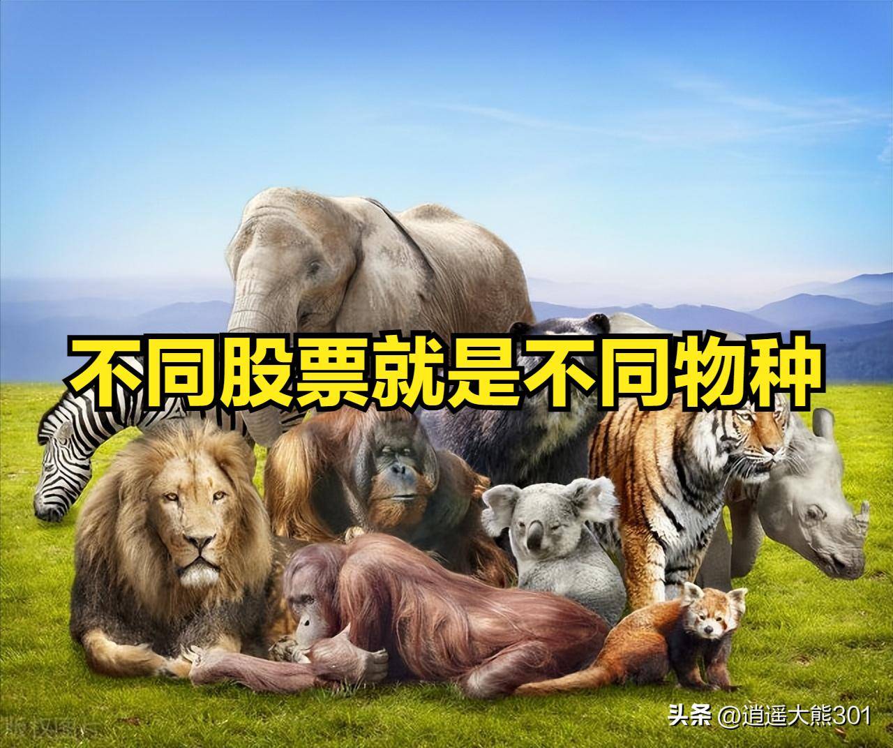 股权投资与炒股票有什么不同?