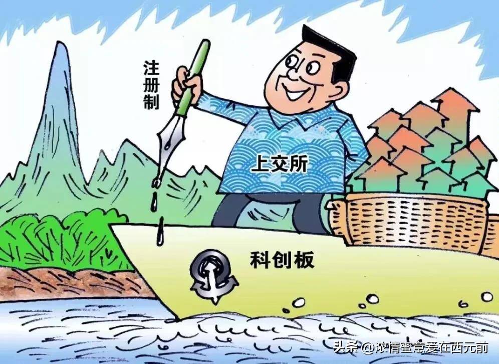A股脸皮最厚的就是上交所！跌到退市都没出来说句让股票涨的话