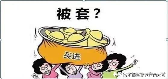 基金操作三原则1底仓永不动2只做五只基金3永不满仓