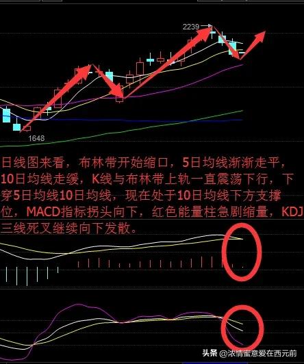 当股票跌破510日线时能够止住并强势上升10日线就是生命线
