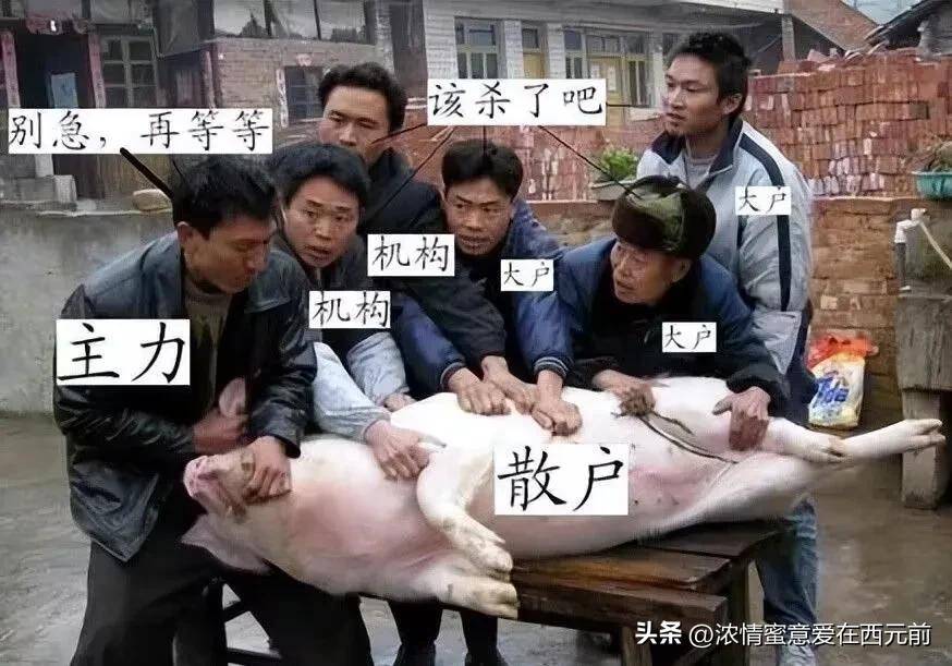A股最大的顽疾是交易制度机构可以做空的特权更容易收割别人