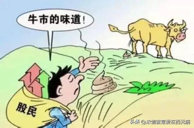 A股已进入牛市踏空机构也需要打压吸筹所以大幅震荡在所难免