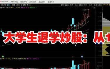 退学炒股网名两年从2万炒到3000万