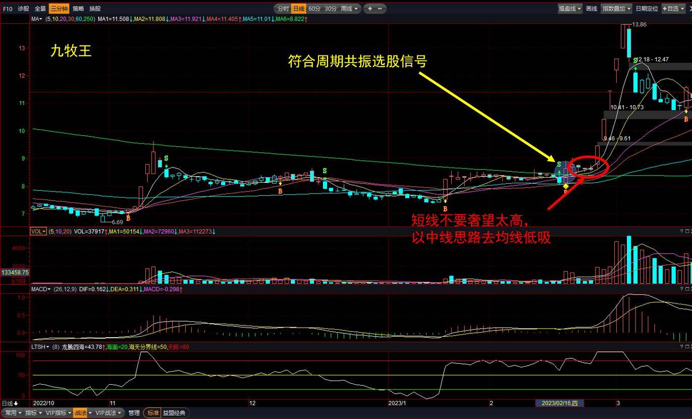 周期共振策略加大赢的概率