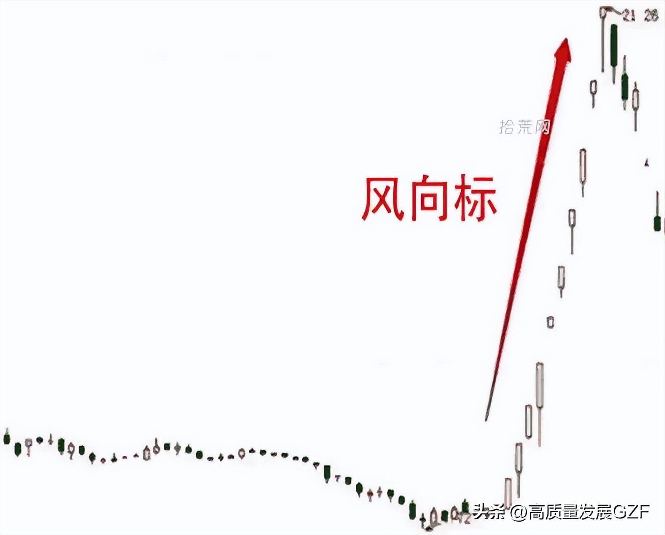 龙头股的肉